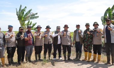 Bupati Rohil Bersinergis dengan Forkopimda dan Kapolda Riau Tanggani Karhutla