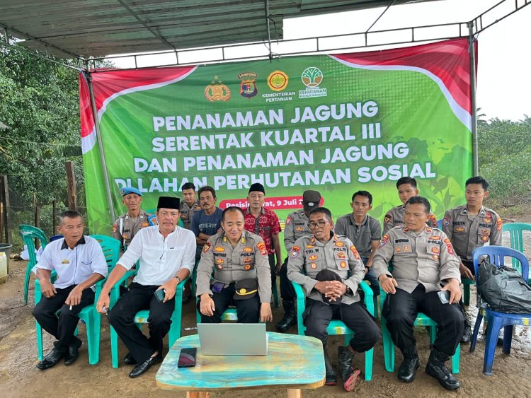 Polres Pesisir Barat Bersama Tokoh Masyarakat Laksanakan Penanaman Jagung Serentak Kuartal III