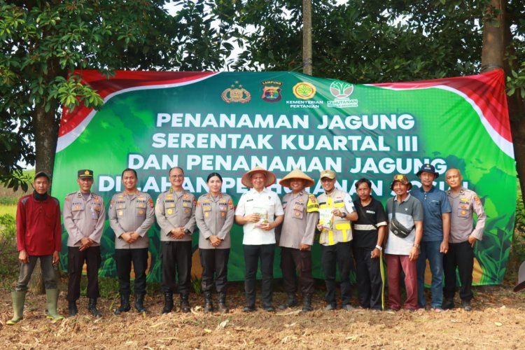 Kapolres Lampung Timur Dampingi Irwil III Itwasum Mabes Polri Tinjau Lahan Jagung Program Ketapang
