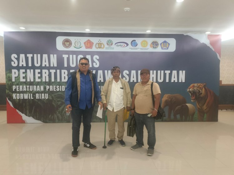 Petani Sekaligus Pengusaha Kelapa Sawit di TNTN Serahkan 500 H Lahan Sawit ke Satgas PKH