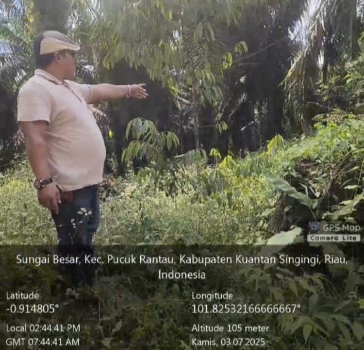 Proyek RHL Ratusan Miliar di Kuansing dan Pelalawan Disoal, GAKORPAN Soroti Dugaan Penyimpangan