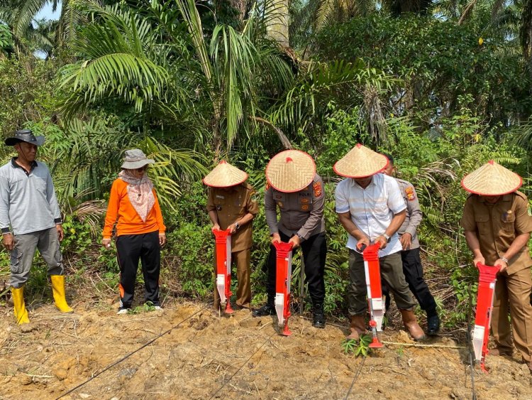 Polsek dan Masyarakat Kepenghuluan Kencana, Taman Jagung Serentak Tahap III