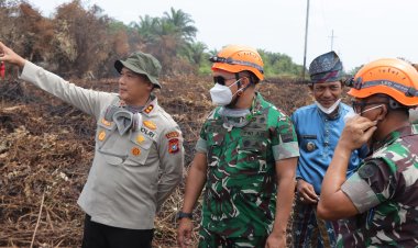 Tinjau Karhutla, Forkopimda dan Kapolres Rohil Sambut Kunjungan Pangdam I /BB