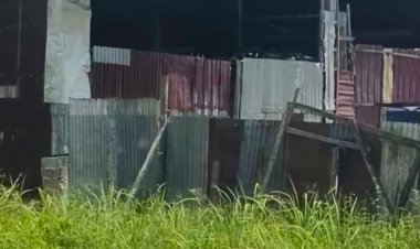 Untung Besar, Mafia BBB Subisidi Tak Akan Berhenti Sebelum Ditangkap dan Ditahan