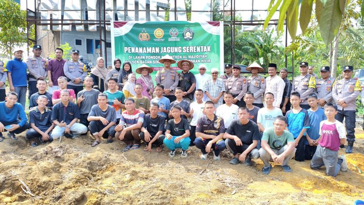 Dukung Ketapang, Polsek Bersama Ponpes Al Majidiyah Gelar Penanaman Jagung Serentak