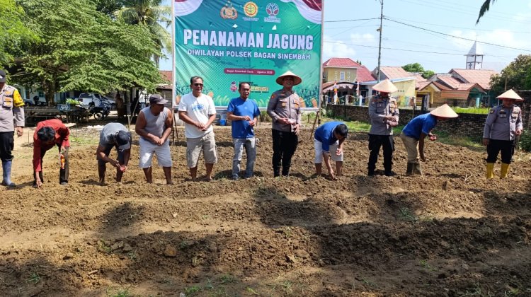 Polsek Bagan Sinembah Tanam Jagung Bersama Warga, Dukung Program Asta Cita Presiden