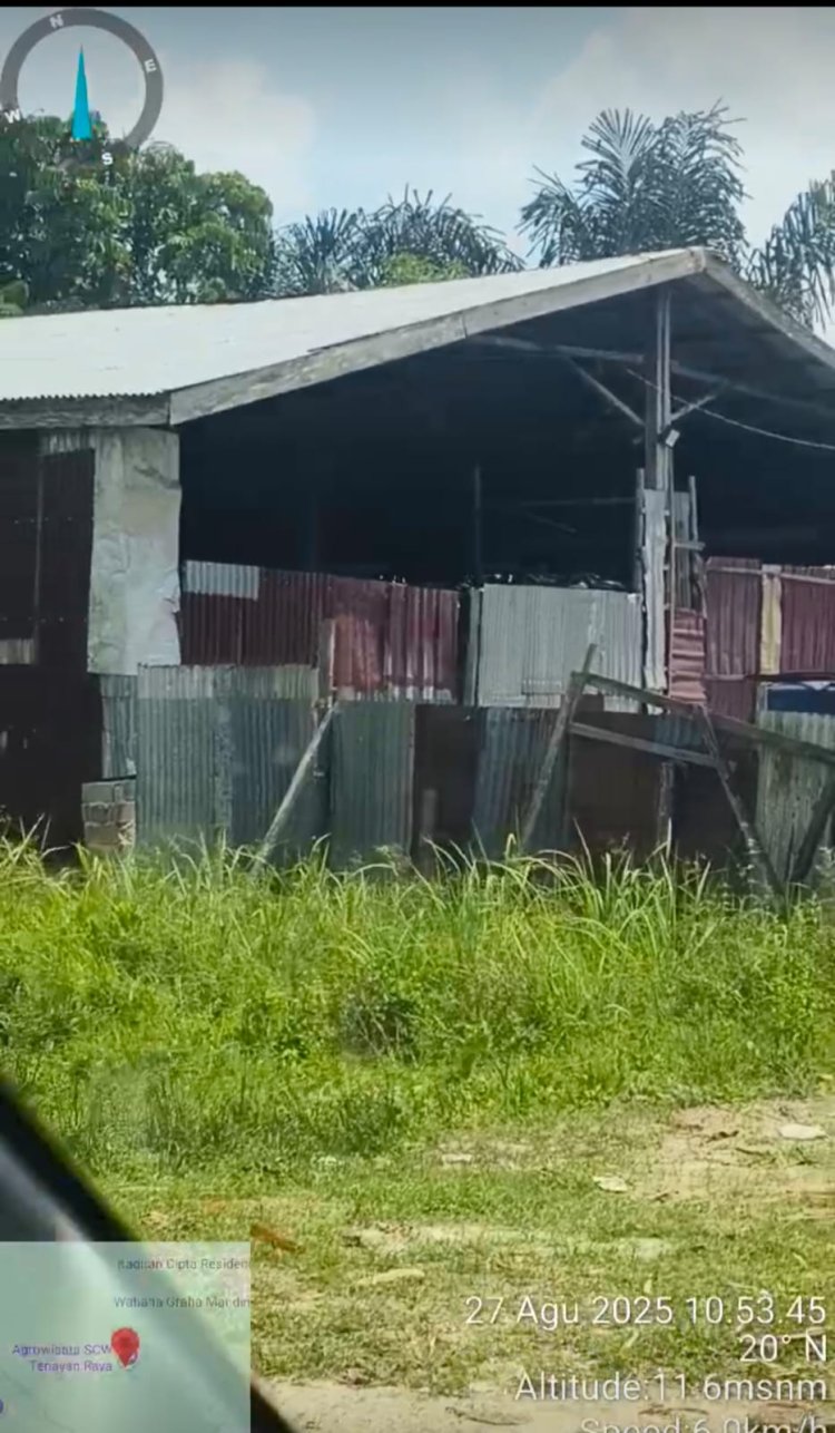 Untung Besar, Mafia BBB Subisidi Tak Akan Berhenti Sebelum Ditangkap dan Ditahan