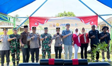 Dukung Program Pemerintah, Kapolres Pesisir Barat Laksanakan Panen Raya Jagung Serentak Kwartal III