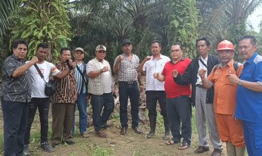 Kerjasama PT. Agrinas dengan PT. AJRAG Milik Mantan Bupati Rohil Dikecam LSM Gakorpan Riau