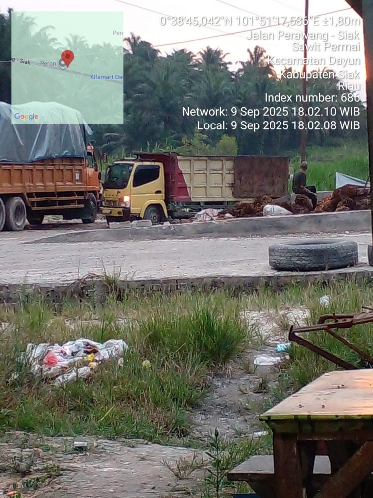 Diduga Tampung Buah Ilegal, RAM Km. 54 Dayun Dapat Dikenakan Pasal 480 KUHP