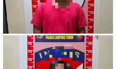 Terlibat Pencurian Sebuah Rumah, 2 Warga Labuhan Ratu Diamankan Polisi