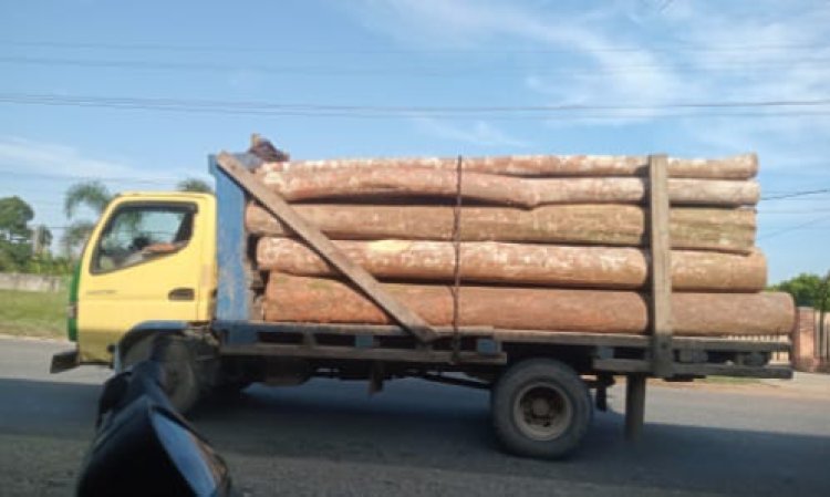 Ilegal Logging di Desa Talang Serdang Sarolangun Lagi-Lagi Jadi Sorotan