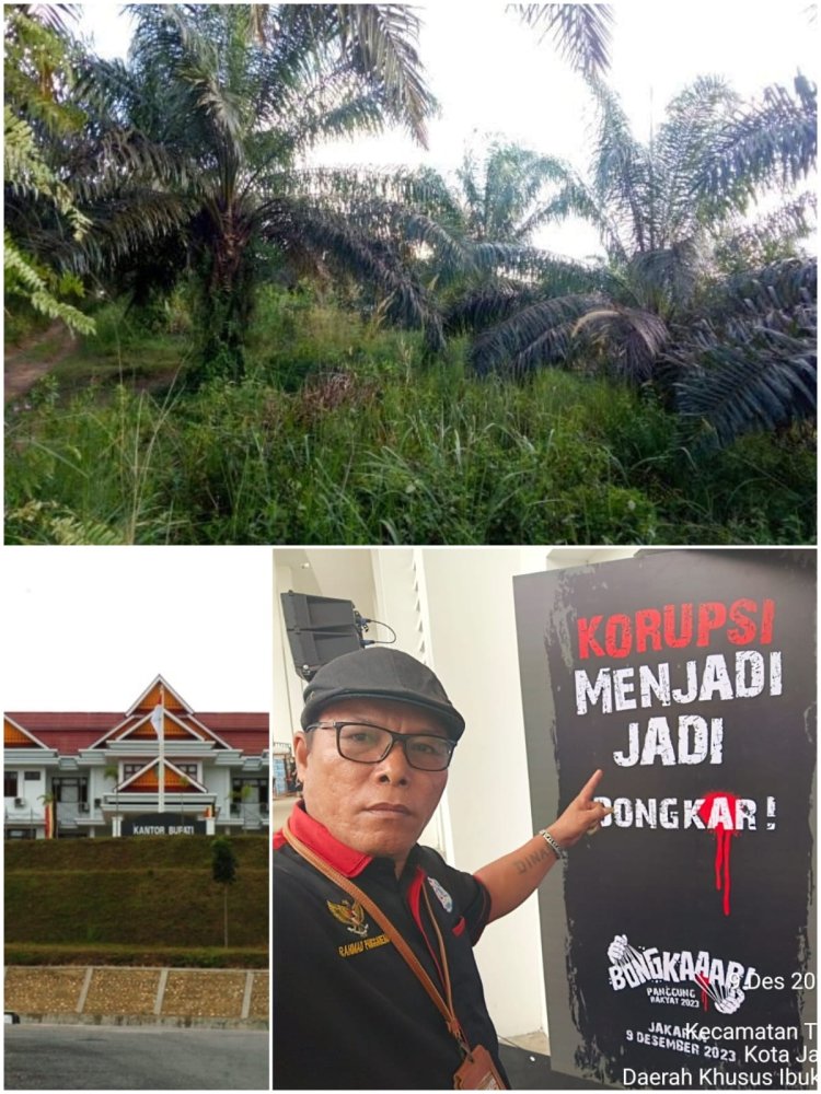 Lahan Sawit Pemkab Kuansing Diduga Dinikmati Sendiri﻿, Ada Keterlibatan Oknum Pemkab?