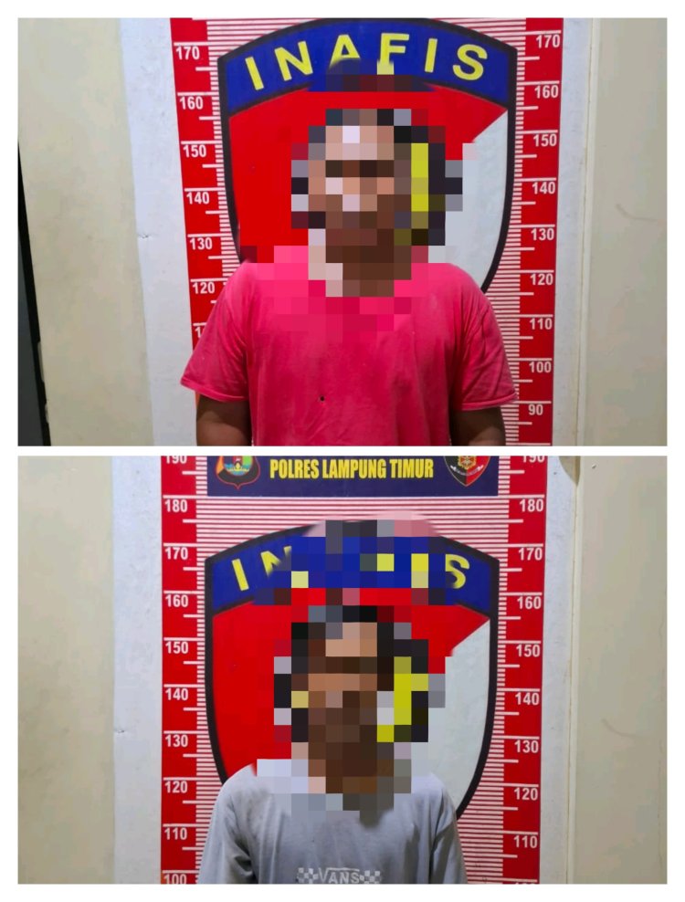 Terlibat Pencurian Sebuah Rumah, 2 Warga Labuhan Ratu Diamankan Polisi