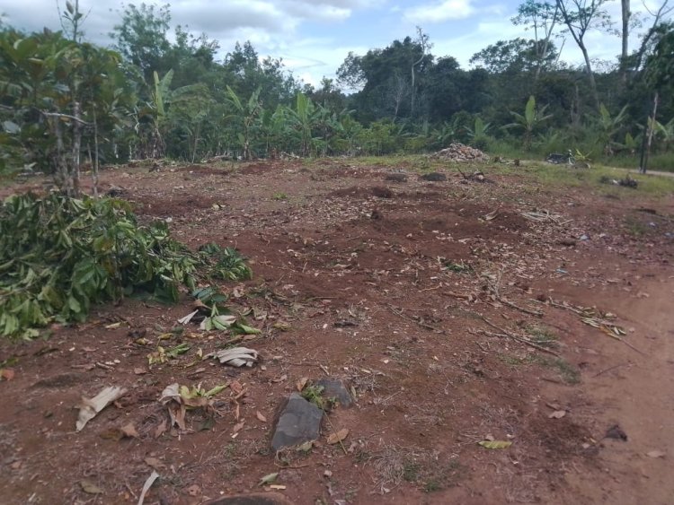 Kontroversi Pembangunan Kantor Koperasi di Tanah Hibah di Pekon Way Petai, Warga Tuntut Ganti Rugi!