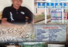 Diduga Mark-Up Angaran, Oknum Kepala Kampung Labuhan Jaya, Resmi Dilaporkan ke Inspektorat