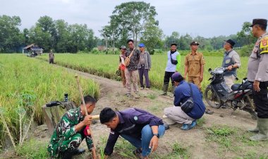 Bhabinkamtibmas Polsek Way Jepara Dampingi Survei Lokasi Penanggulangan Konflik Gajah Liar di Desa Braja Asri