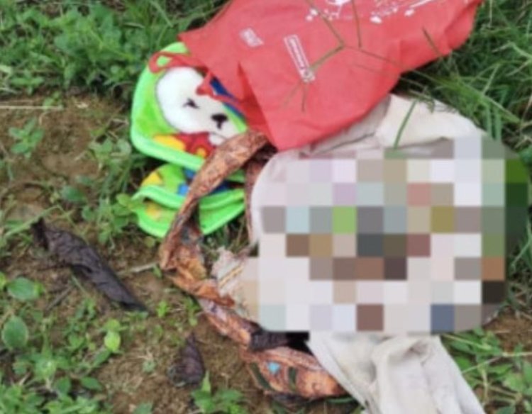 Jasad Bayi Terbungkus Karung Ditemukan di Kebun Kopi Lampung Barat