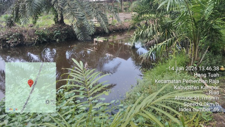 Aliran Limbah Diduga Lintas Desa, Warga Pantai Raja Keluhkan Dampak Operasional PT Anugerah Sawit Sejahtera