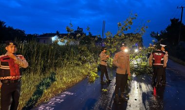 Tim Siaga Tanggap Bencana Polres Lampung Timur Sigap Evakuasi Pohon Tumbang di Desa Gedung Dalem