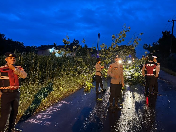 Tim Siaga Tanggap Bencana Polres Lampung Timur Sigap Evakuasi Pohon Tumbang di Desa Gedung Dalem