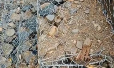 Proyek Dinas PSDA Provinsi Lampung Diduga Asal Jadi, 2 Elemen Minta Kejati Lampung Usut  Tuntas