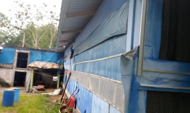 Kandang Ayam 14 Ribu Ekor Diduga Ganggu Lingkungan, Warga Ngemplak Karangpandan Resah