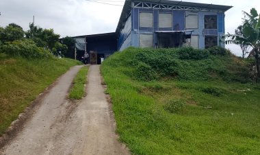 Kandang Ayam 14.000 Ekor Diduga Langgar Tata Ruang, Warga Ketakutan Melapor karena Pemilik Disebut Aparat