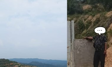 Ormas LCI Somasi Dugaan Penguasaan Lahan Ilegal 600 Hektare Kebun Sawit di Kawasan Hutan Negara Kampar Kiri