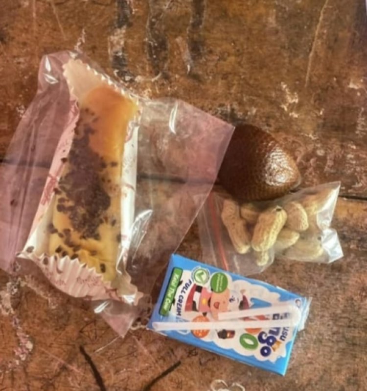 Tak Kapok Meski Sudah Disanksi, SPPG Sekincau 1 Kembali Sajikan Menu “Seadanya” ke Siswa