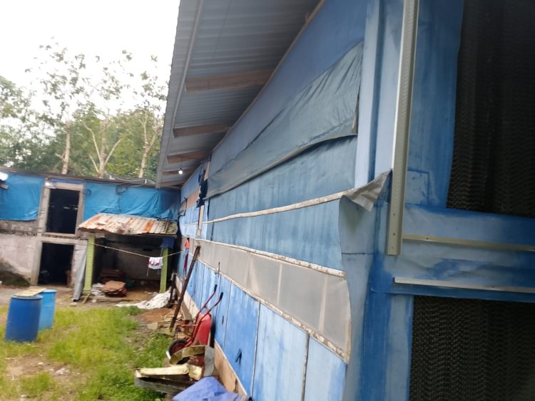 Kandang Ayam 14 Ribu Ekor Diduga Ganggu Lingkungan, Warga Ngemplak Karangpandan Resah