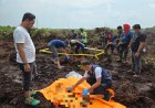 Geger! Kerangka Manusia Ditemukan di Lahan Warga Rimbo Panjang, Polsek Tambang Minta Keluarga yang Merasa Kehilangan Segera Melapor