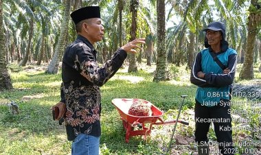 Somasi Diabaikan, LSM Penjara Indonesia Bawa Kasus Dugaan Pelanggaran Kebun Awi di Siak ke Jalur Tripartit