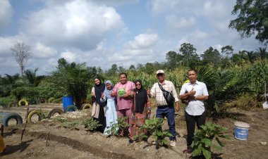 UPT SMPN 3 Perhentian Raja Sulap Lahan Kosong Jadi Kebun Produktif, Siswa Antusias Ikut Bertani**