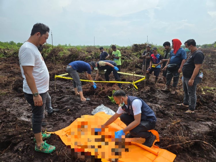 Geger! Kerangka Manusia Ditemukan di Lahan Warga Rimbo Panjang, Polsek Tambang Minta Keluarga yang Merasa Kehilangan Segera Melapor