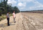 Dukung Ketahanan Pangan, Kapolsek Siak Hulu Cek Progres Kebun Jagung 10 Hektare di Pangkalan Baru