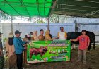 Idul Adha 1447 H, Masjid Taqwa Magelangan Metro Barat Bagikan 1.363 Kg Daging Kurban dari Presiden dan Baznas Lampung