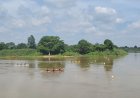 Turnamen Pacu Sampan Mini Digelar Semarak di Tepian Sungai Kampar Desa Lubuk Siam