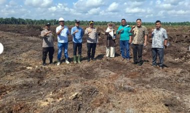 Dukung Ketahanan Pangan Nasional, Kapolsek Siak Hulu Tinjau Langsung Lahan Jagung Pipil di Desa Pangkalan Baru