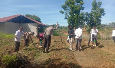 Bhabinkamtibmas XIII Koto Kampar Turun Tangan Tanam Jagung Pipil di Desa Koto Mesjid, Dukung Swasembada Pangan Nasional