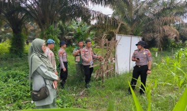 Kapolsek Kerinci Kanan Turun Langsung Monitor Jagung Pipil di Kerinci Kiri, Wujudkan Polri Cinta Petani