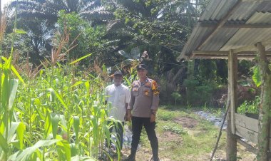 Bhabinkamtibmas Kampung Buatan Baru Monitoring Lahan Jagung Pipil Dukung Swasembada Pangan 2026