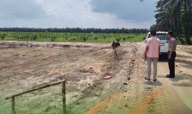 Pastikan Progres Tepat Target, Kapolsek Siak Hulu Kembali Cek Lahan Jagung 10 Hektare di Pangkalan Baru