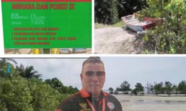 Sawit Sampai Tepi Laut, Aktivis Desak Polda Riau Usut Dugaan Pelanggaran PT MMJ di Pulau Rupat