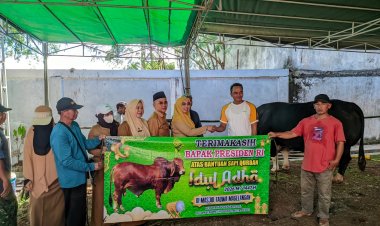 Idul Adha 1447 H, Masjid Taqwa Magelangan Metro Barat Bagikan 1.363 Kg Daging Kurban dari Presiden dan Baznas Lampung