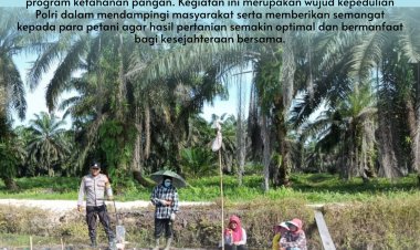 Polisi Cinta Petani, Bhabinkamtibmas Desa Pangkalan Baru Dampingi Kelompok Tani Tanam Jagung