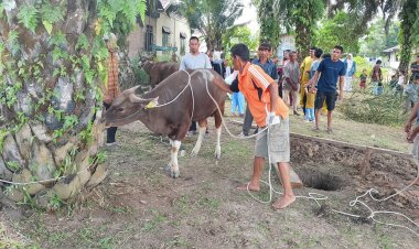 Bukan Sembarang Kurban, Hewan Kurban di Bagan Cempedak Salah Satu Sumbangan dari Kapolda Riau