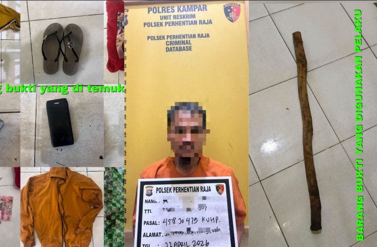 Pelaku Pembunuhan Pengumpul Brondolan Sawit di Sialang Kubang Berhasil Ditangkap, Jejak Handphone Korban Jadi Kunci