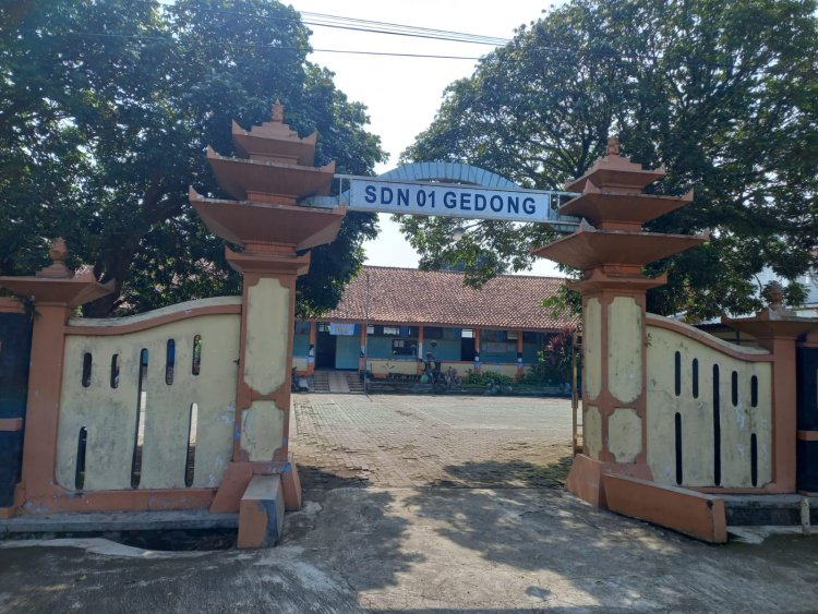 LAPAAN RI Telusuri Aktor di Balik Pungutan SDN 1 Gedong