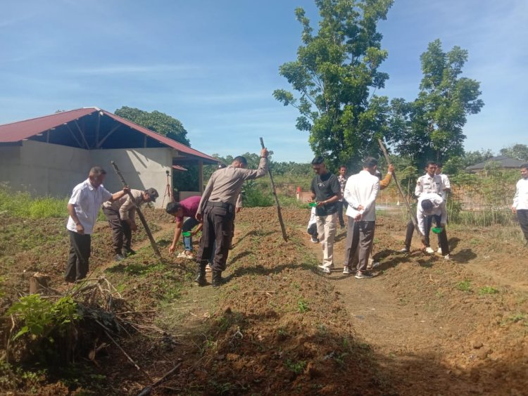 Bhabinkamtibmas XIII Koto Kampar Turun Tangan Tanam Jagung Pipil di Desa Koto Mesjid, Dukung Swasembada Pangan Nasional